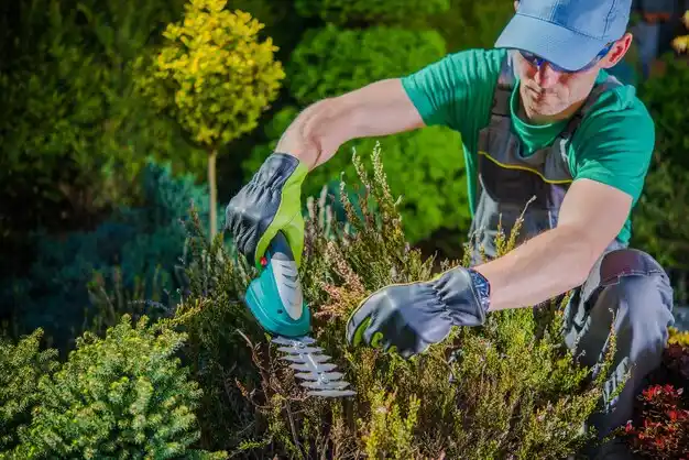 landscaping services Higbee